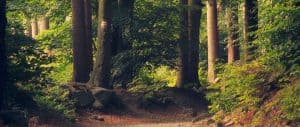 best game camera 2019