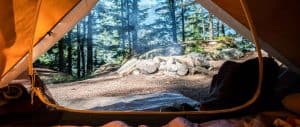 4-person-tent-vs-6-person-tent