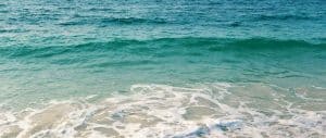 best-ways-to-catch-trout-in-the-surf