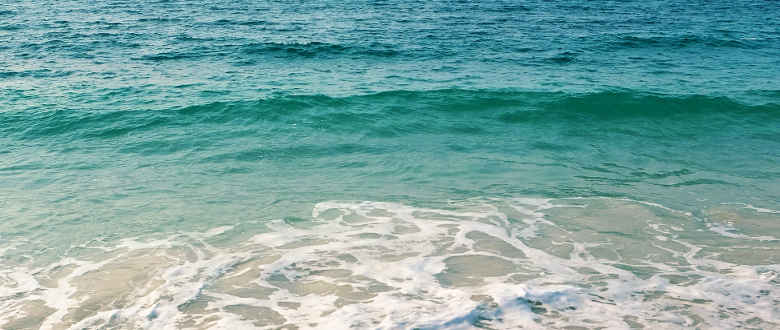 Best Ways to Catch Trout in the Texas Surf 2024