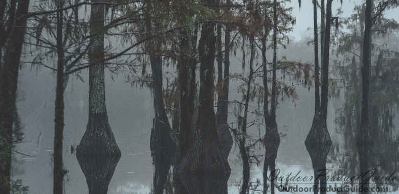 Duck Hunting in the Rain: Pros and Cons