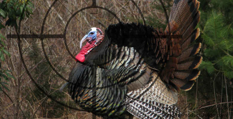 3 Best Chokes for Turkey Hunting 2024