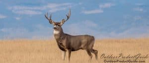 calling-deer-in-late-november