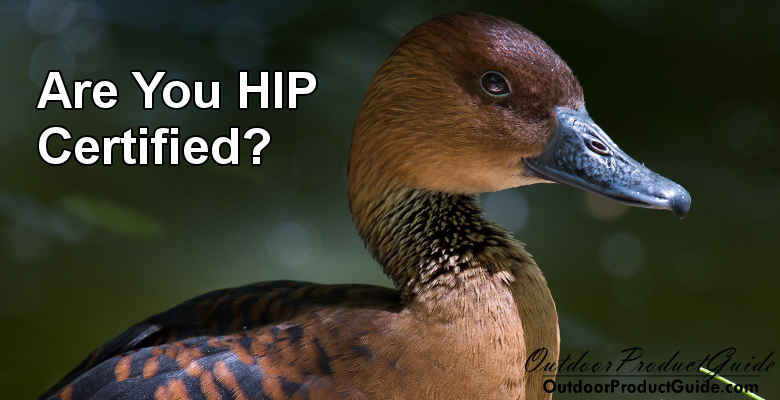 HIP Certification: Everything You Need to Know