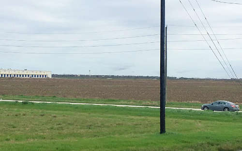 snow-geese-katy-texas