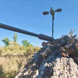 best-choke-dove-hunting